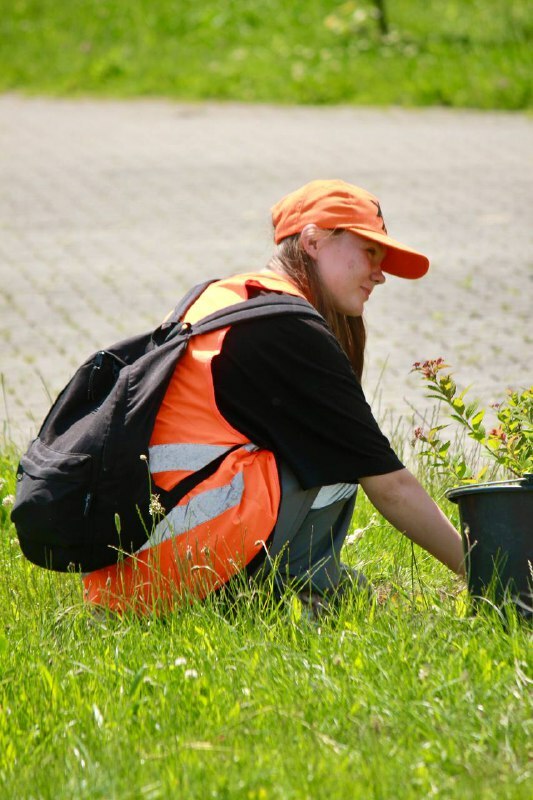 Студенческий отряд 2025